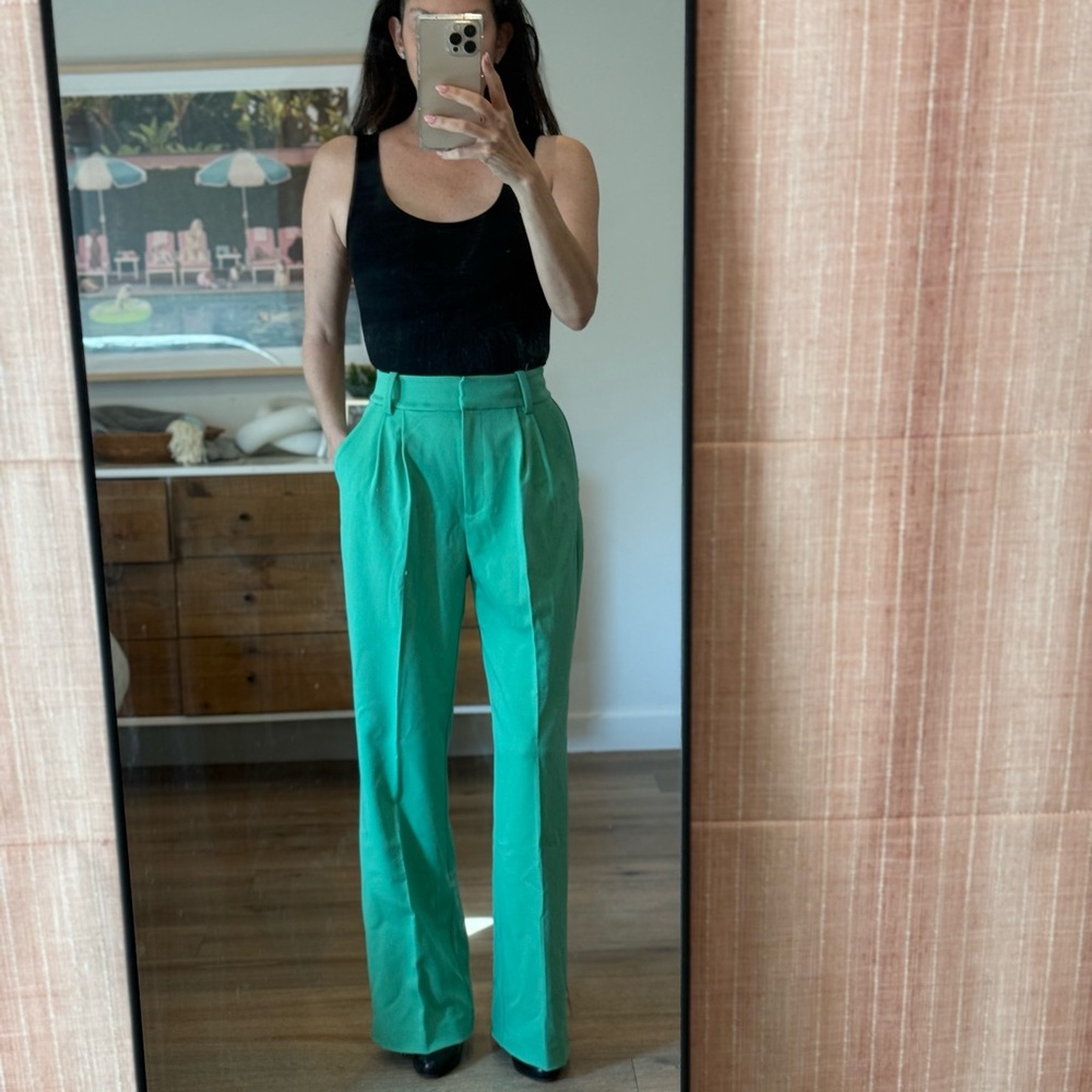 Favorite Daughter The Favorite Pant Size 0 in Greenhouse Green